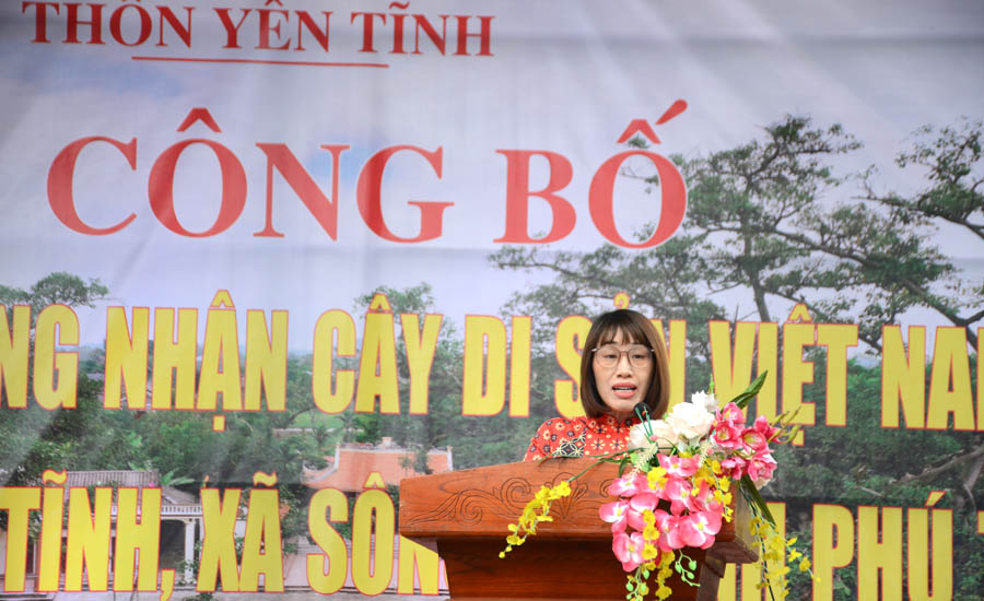 Cụ[-]Đa[-]Ba[-]Cội[-]&ndash;[-]hồn[-]l&agrave;ng[-]Y&ecirc;n[-]Tĩnh[-]được[-]ghi[-]danh[-]C&acirc;y[-]Di[-]sản[-]Việt[-]Nam